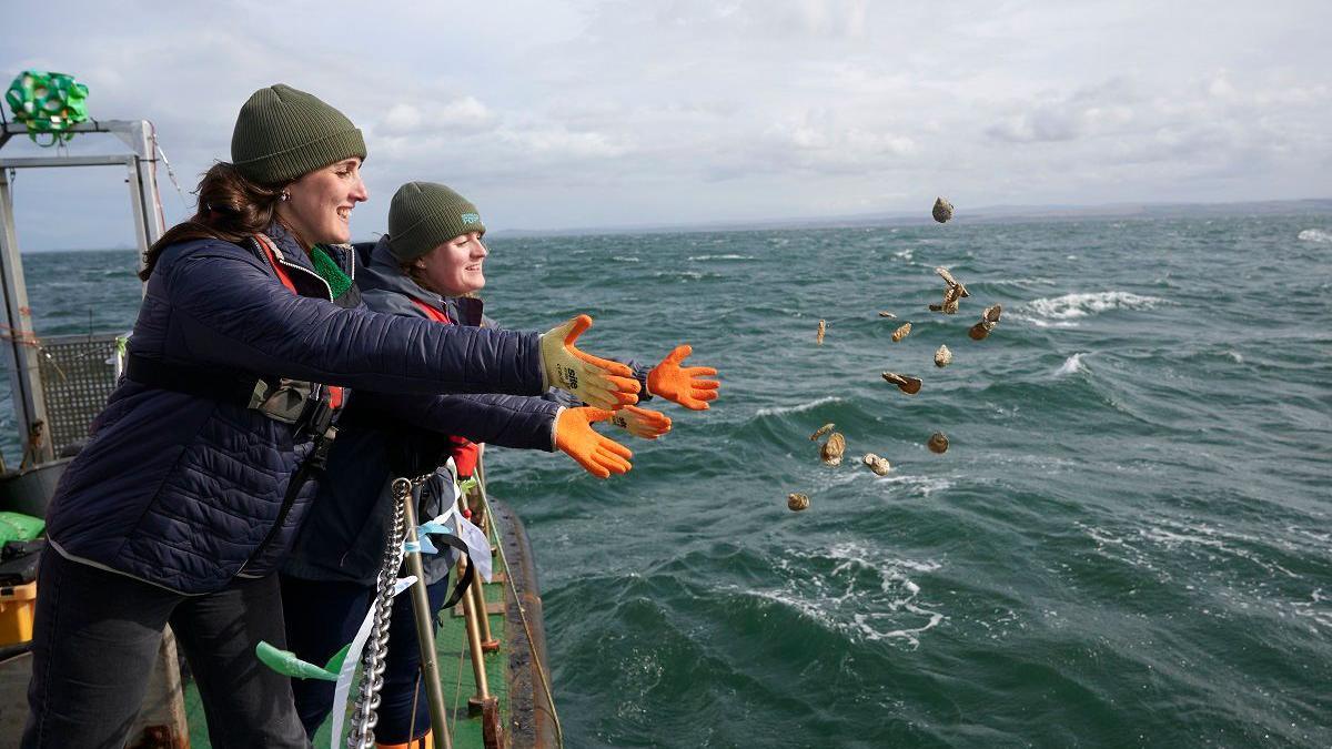 Two people throwing oysters into the Firth of Forth. 