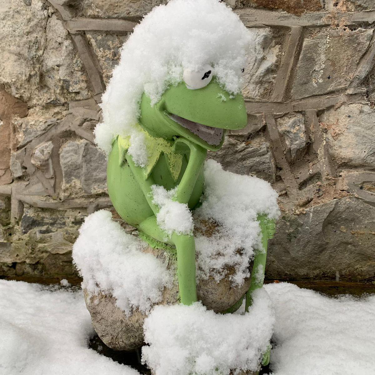 Kermit the Frog covered in snow in Flintshire