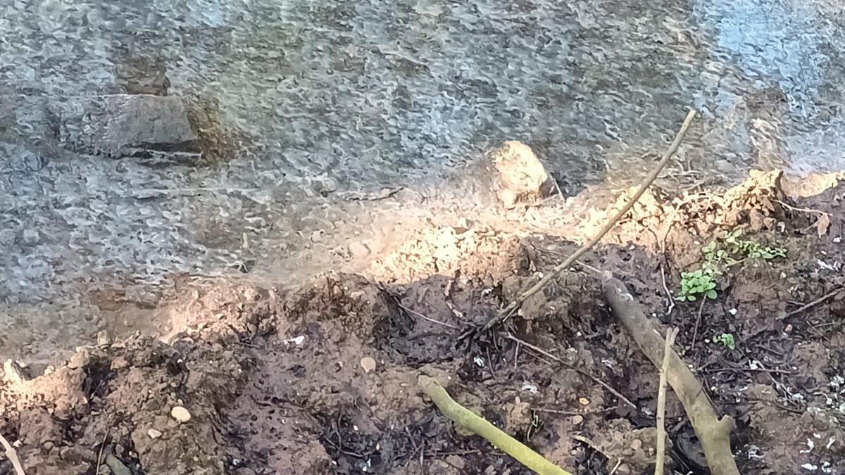 A photo shows brown foam on the edges of the brook.