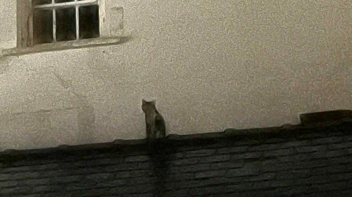 Slightly grainy picture of the upper storeys of the Queens Hotel in Blaenau Ffestiniog, taken at night.  A portion of extension roof is visible in the lower part of the picture, with the silhouette of a cat sitting on it.