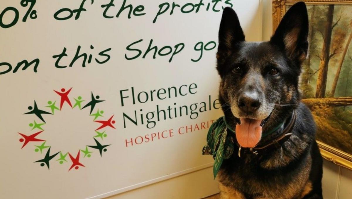 Antilly is on the right with her tongue out, looking at the camera. The words Florence Nightingale Hospice Charity are on a board behind her.