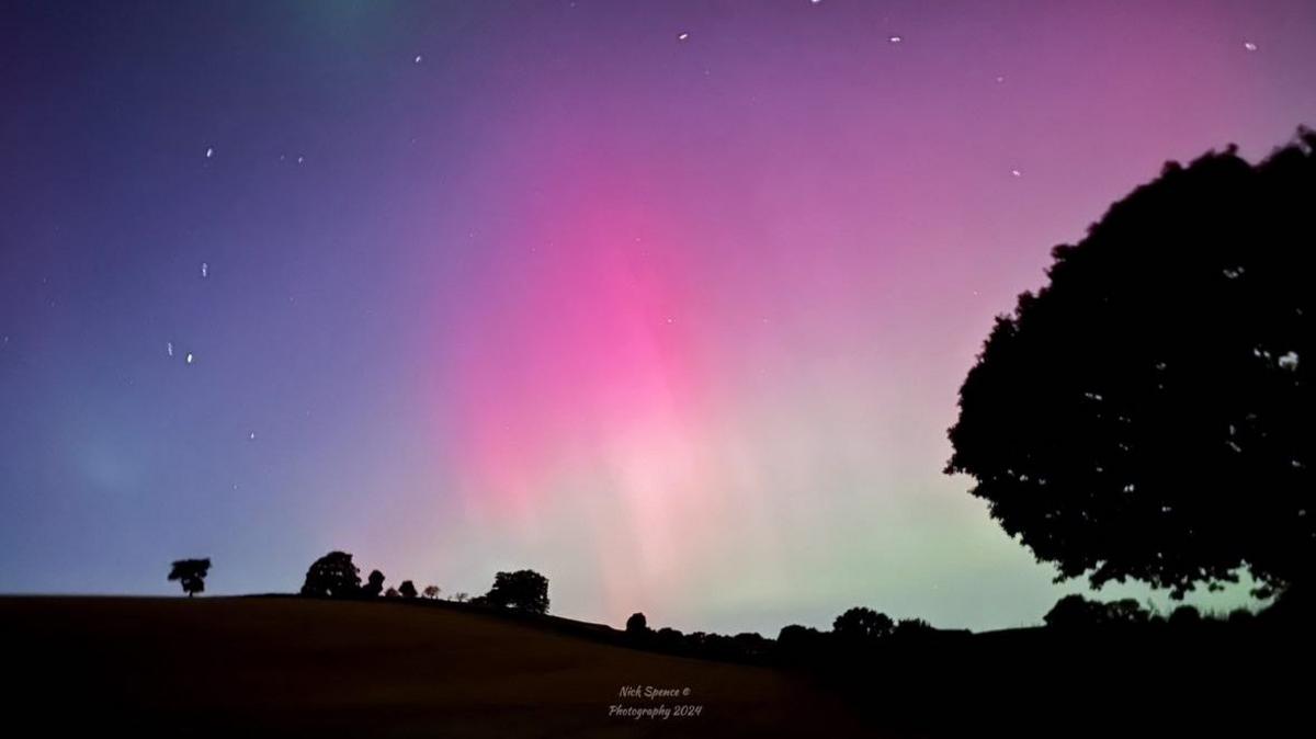 Deep red, green, blue and pink lights in the sky. Silhouetted trees at ground level.