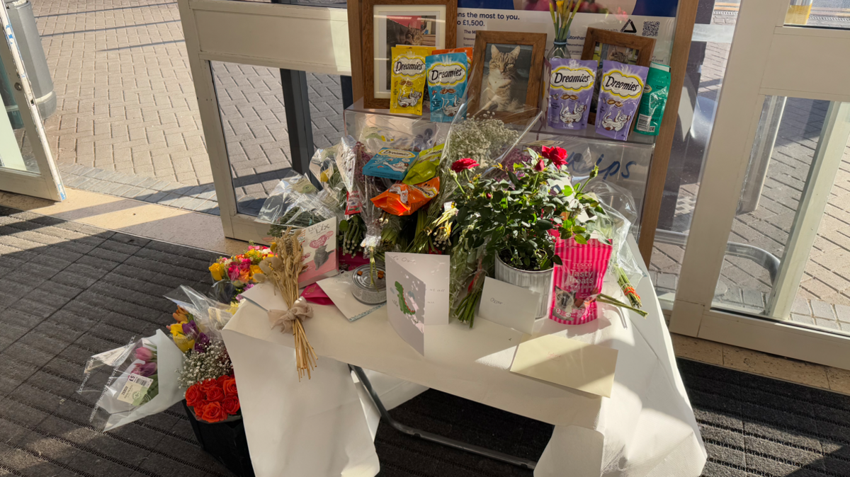 A shrine to Oscar the cat. Flowers, cat treats and cards can be seen placed on top of and next to a white table in the entrance of Tesco