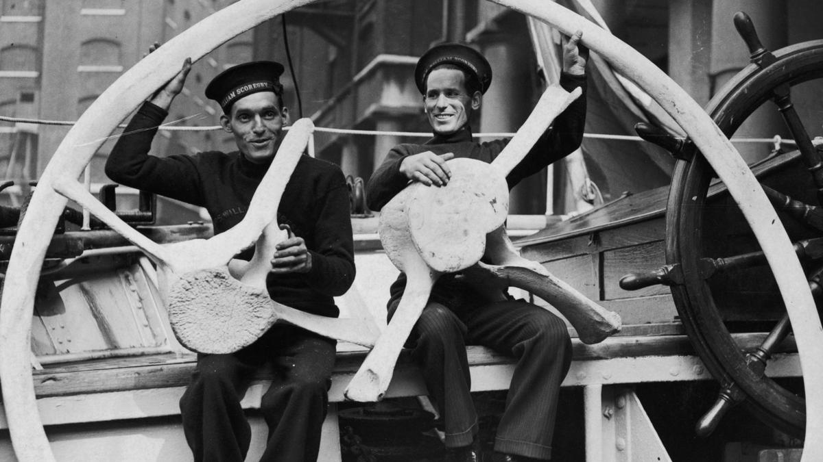 How the William Scoresby Helped Track El Niño