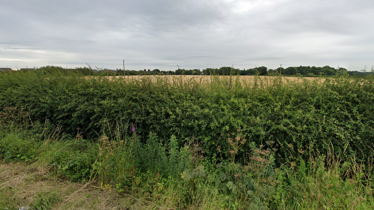 A large field behind a hedge