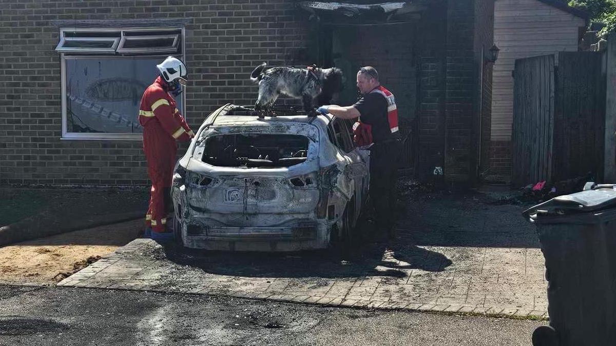 Two firefighters stand over a burnt out car