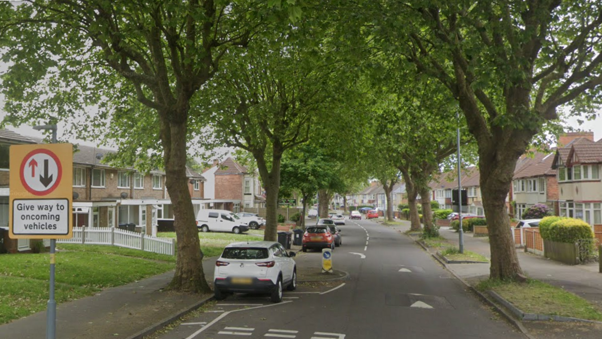 A residential road with houses and trees on both sides. The road has some speed cushions, which do not cover the whole wide of the lane they are in.