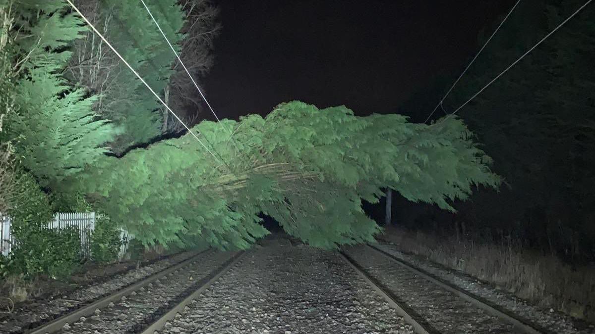 A felled tree that has collapsed on some overhead lines over a railway track. The sky is dark, showing this is at night, and two railway lines run underneath the tree which had fallen on top of overhead lines above them.