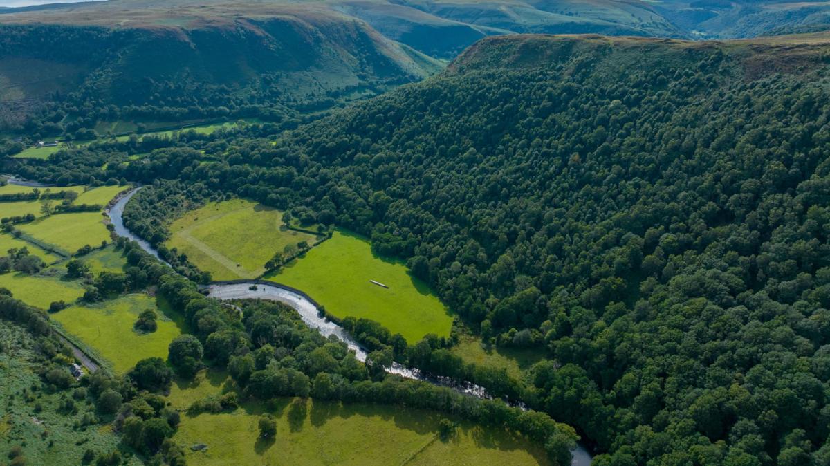 RSPB buys 'magical' 96-hectare landscape to reconnect habitats