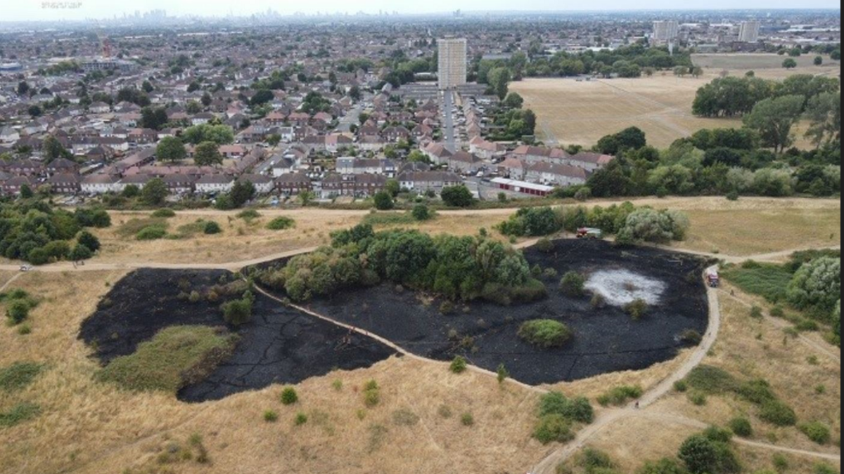 Parkland with a big blackened patch, near homes including a tower block