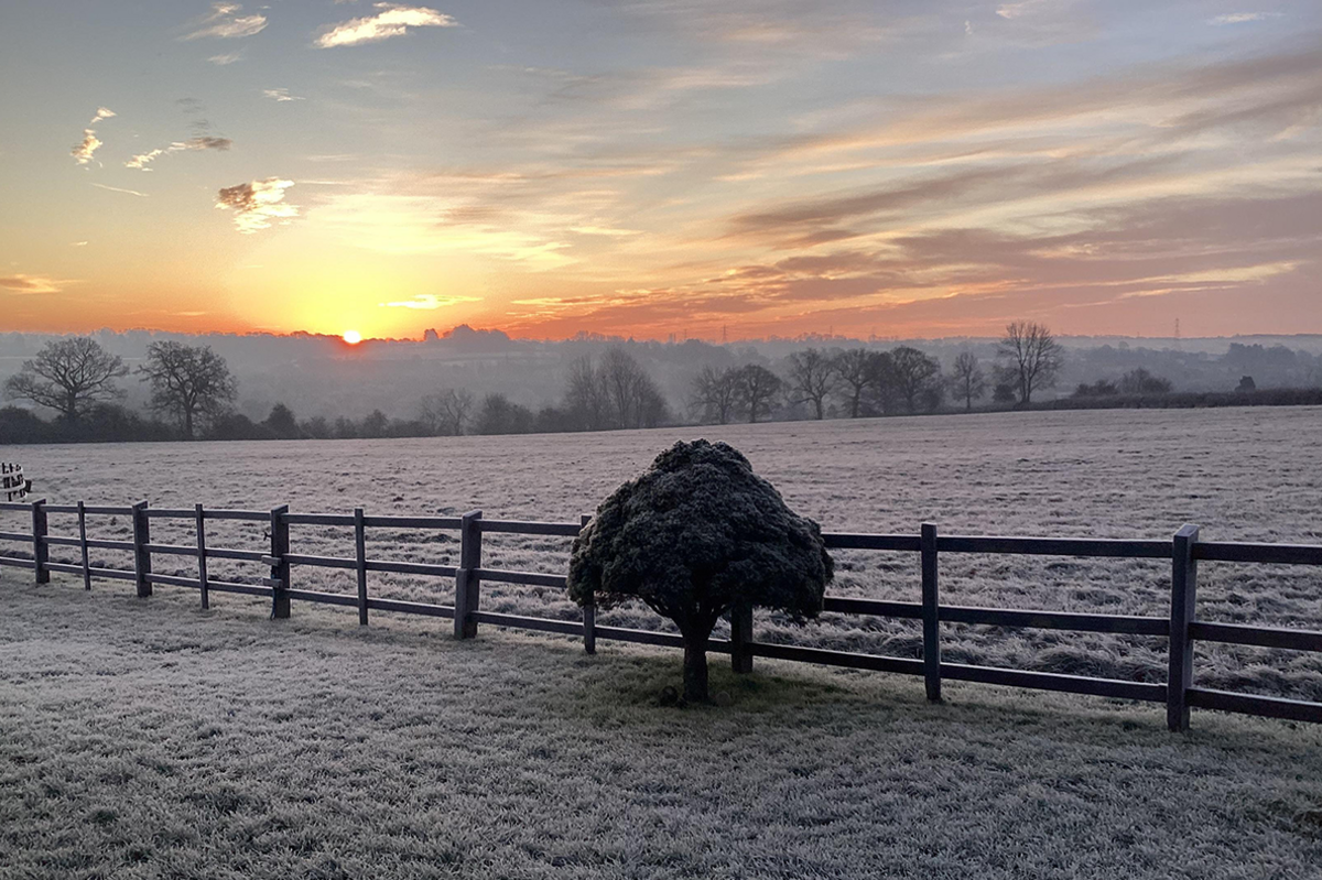 A sunrise or sunset over a frost covered field, with a lone, small tree next to a wooden fence, with mist-covered hills in the background