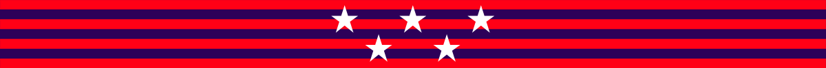 Branded divider with red and navy blue stripes and five white stars in the middle
