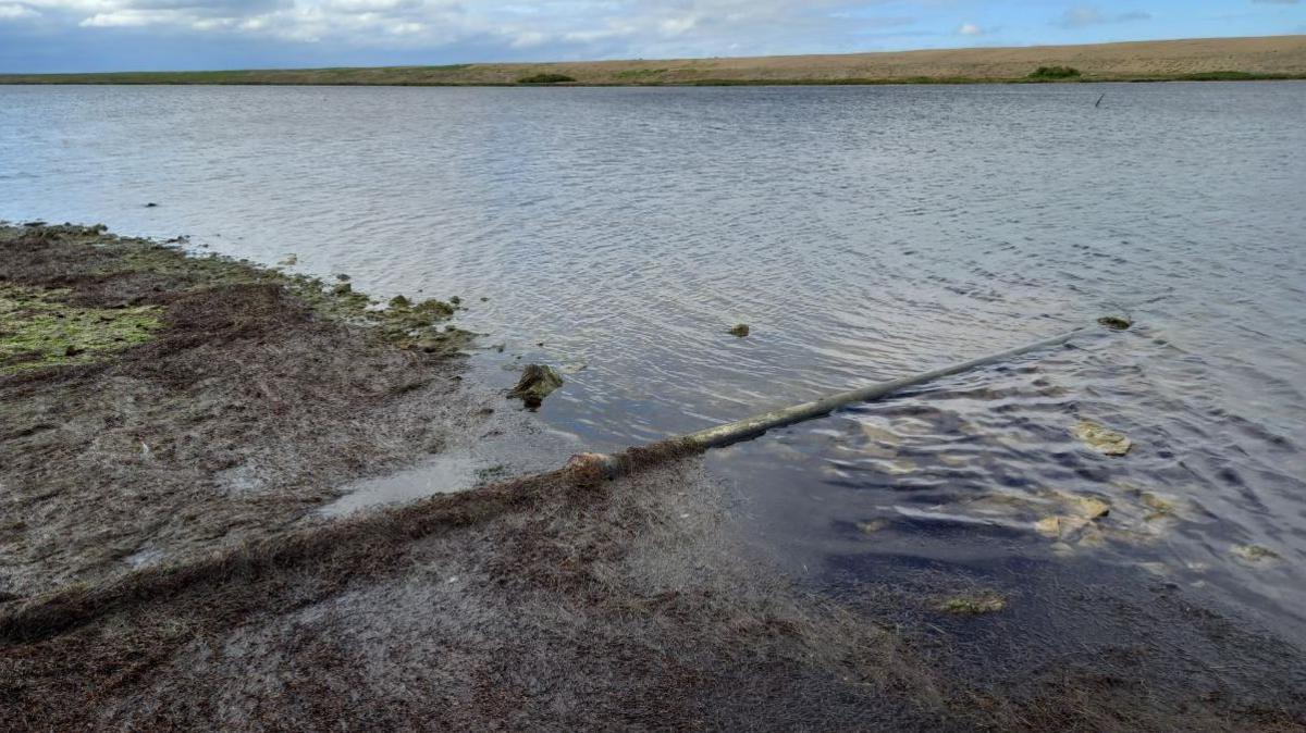 A pipe extending into the water, with the opposite bank visible in the background