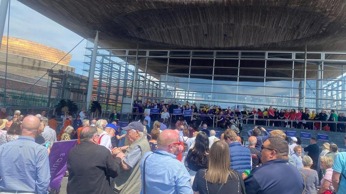 protest outside Senedd