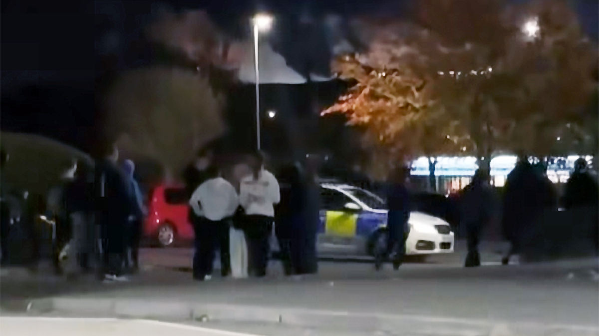 A group of youths standing in front of trees and a police car.