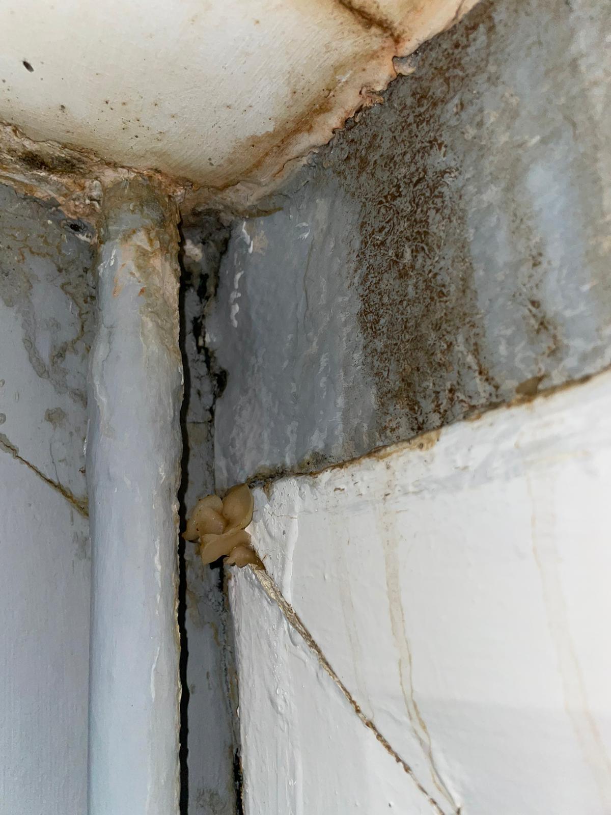 Cracks and water damage in house