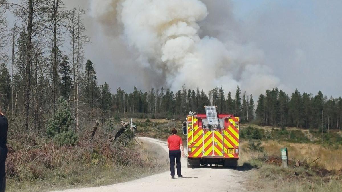 A person stands behind a fire engine on a dirt road, with trees in the distance and plumes of smoke rising in the background.