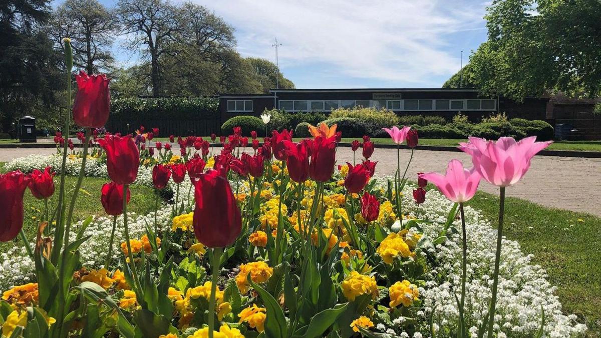 Several brightly coloured flowers are close to the camera, in red, yellow and pink. Some are on long, green stalks. They site in a flowerbed in between grassy banks with a paved, brown path leading away, past a brick building in the distance.