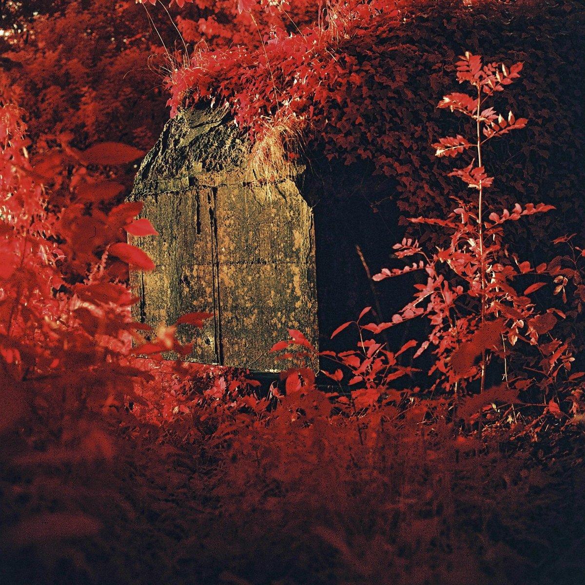 Infrared photograph of a bunker, surrounded by plants