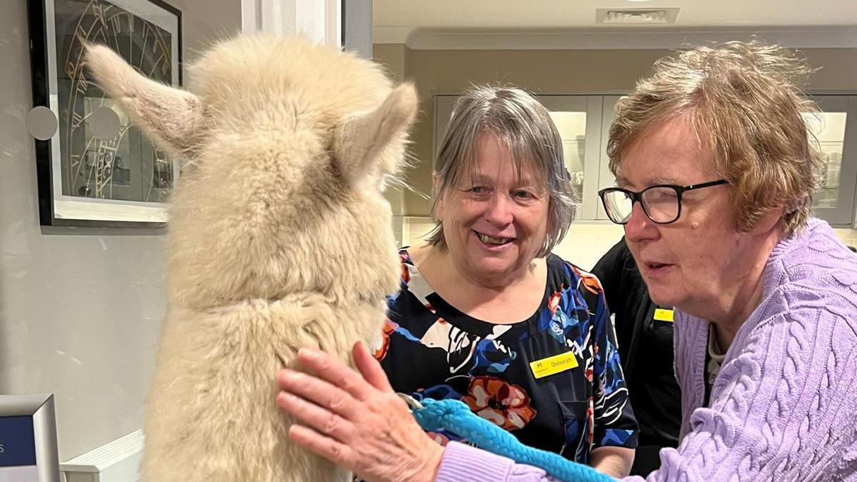 Two women stand with Prancer in the care home and one of them is petting him with her hand on his coat.