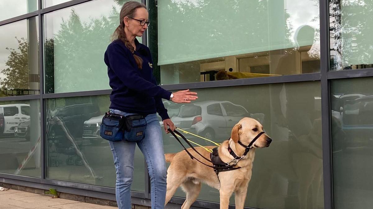 Guide dog training