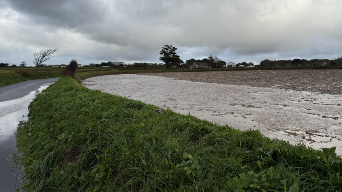 A water logged field in Guernsey.