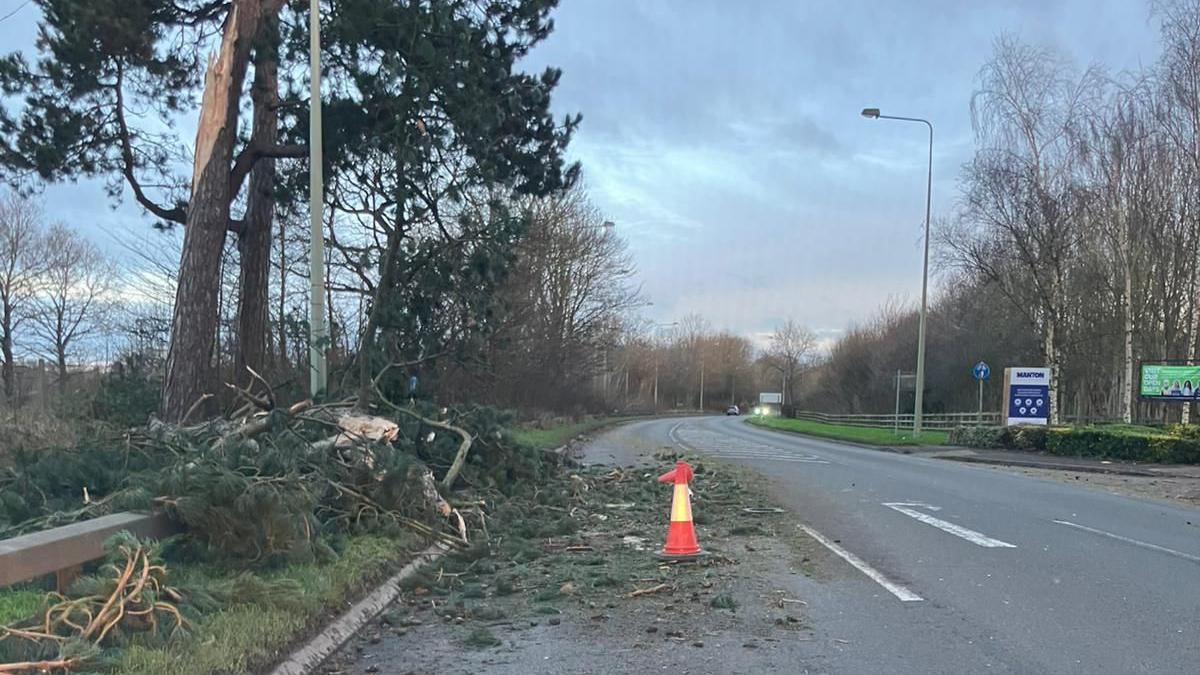 The remains of a tree lie across a main road at a junction. A car is in the background with its headlights on.