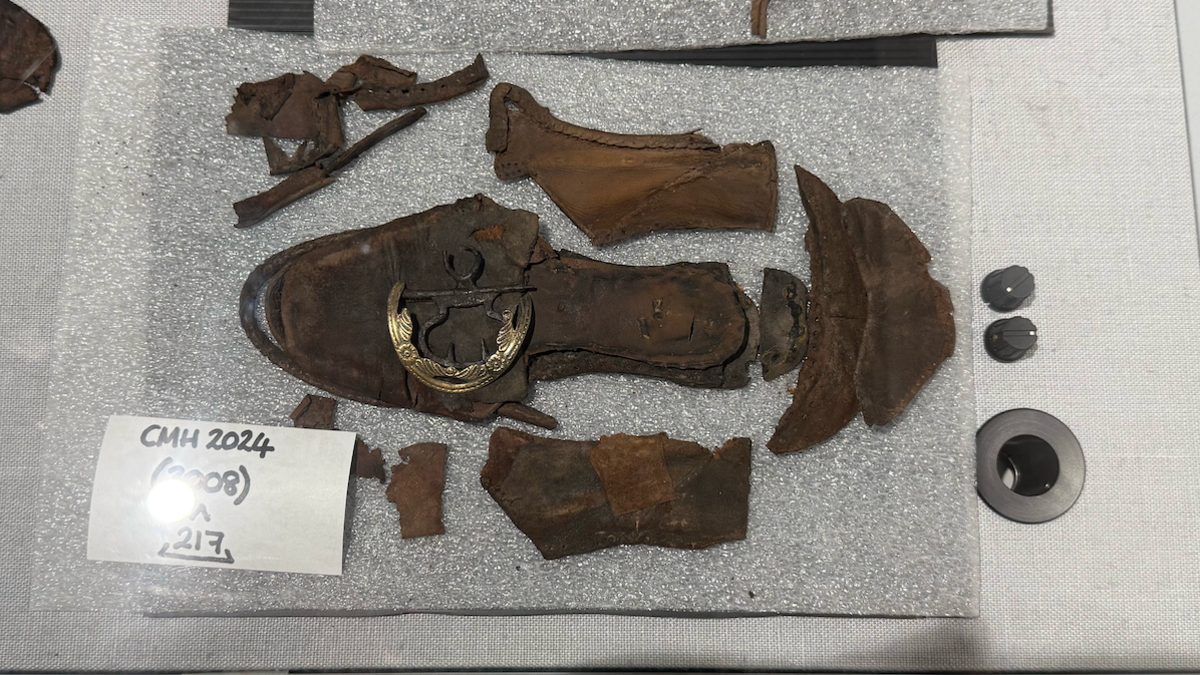 The photo shows the remains of what resembles a child's shoe. The material is brown leather, and there's a golden buckle on the front. There are also various pieces of leather in the photo, which are from the shoe but have become detached. 
