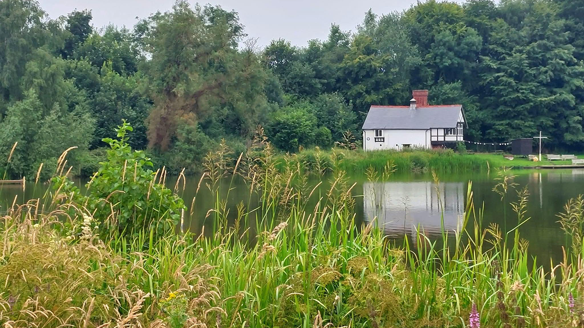 Tall grasses and small shrubs line the bank of the mere in th eforeground, with a small black and white house in the distance across the water. Behind it is thick native woodland  