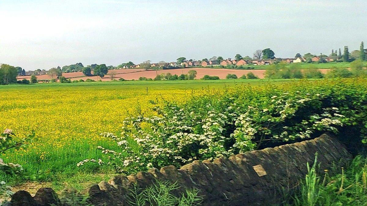 The Lugg Meadow seen from the A438 approaching Hereford 