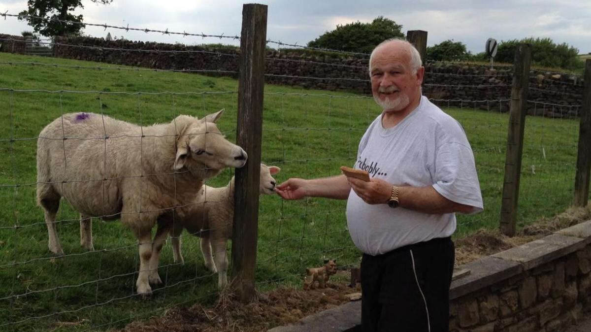 Mick Wadge - an older man with receding white hair and a white beard and moustache - stands beside a field, feeding two sheep through a wire fence