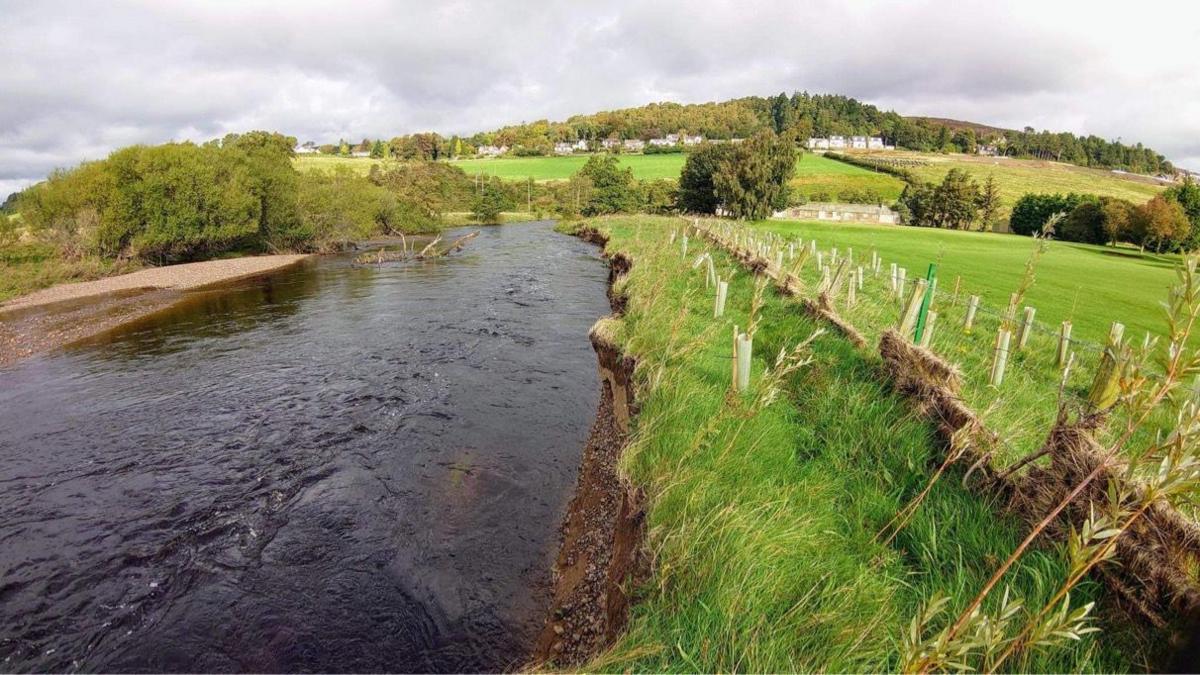 A river with lots of trees planted on one side 