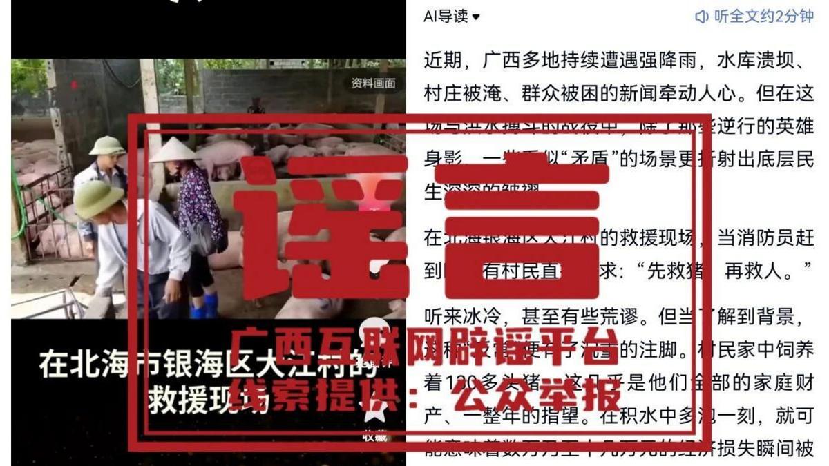 AI concocted reports show flood-affected villagers had asked rescue workers to prioritise the rescue of pigs over people