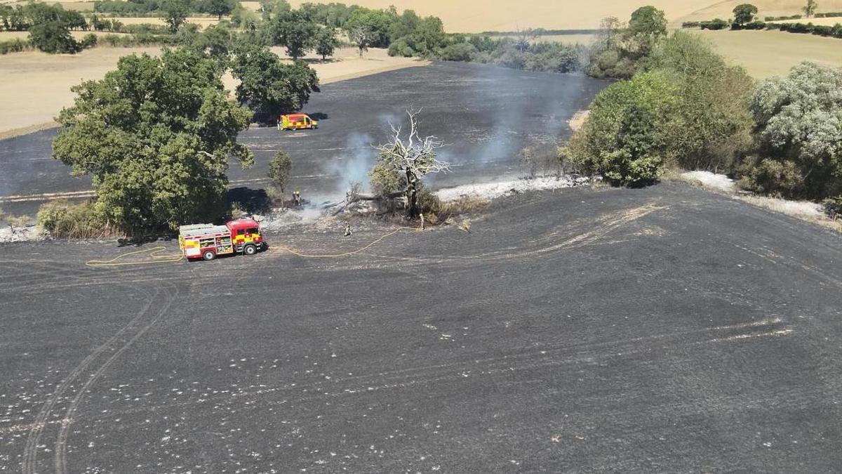 A large field fire, with two fire engine vehicles at the scene. It shows charred earth, burnt trees but green foliage around the area. Smoke is coming up into the air from the edge of the area.