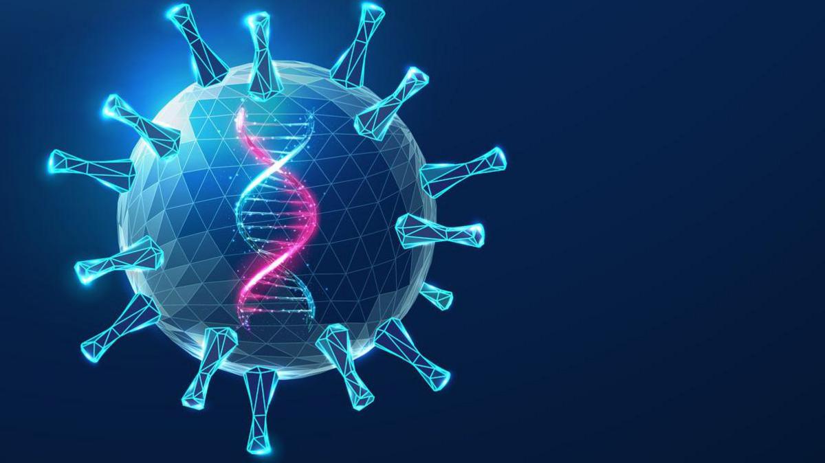 A graphic of a virus containing a strand of DNA representing the correct copy of the factor IX instructions being given to the body