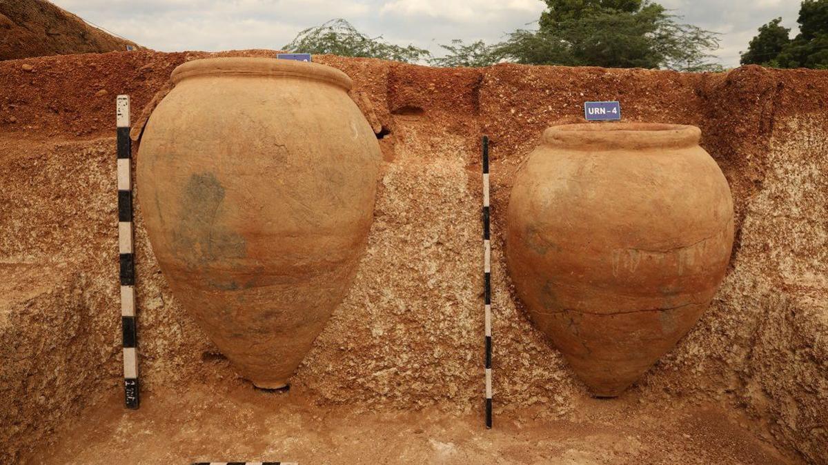 Burial urns embedded in the soil at the Kondagai excavation site in Tamil Nadu, India.
