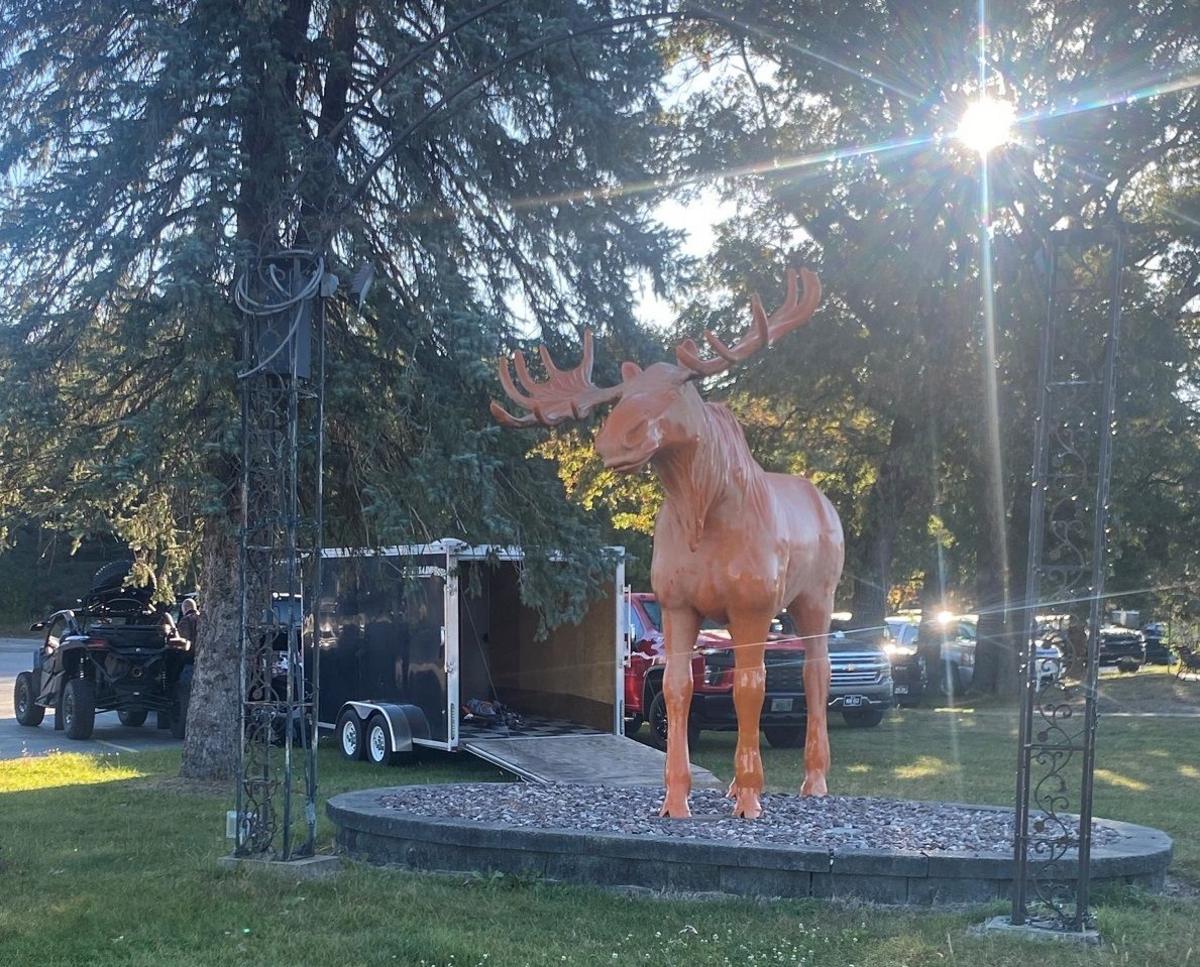 A statue of a Moose surrounded by evergreen trees, with the sun poking through the branches