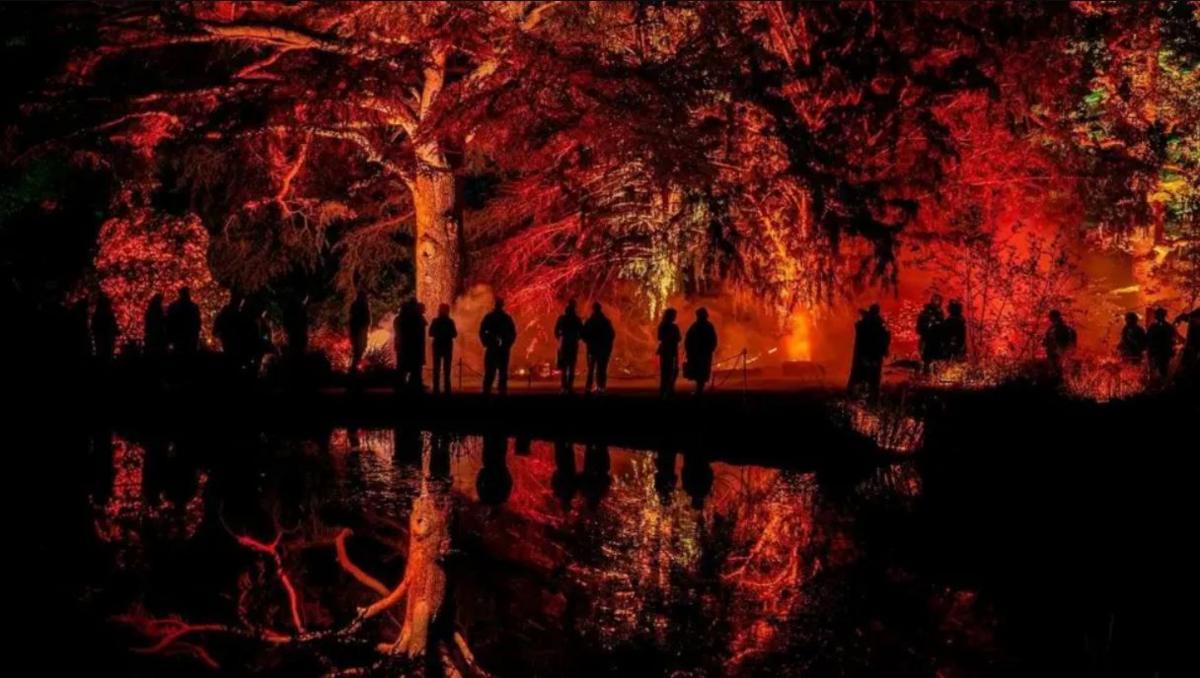 Silhouettes of a large group of people walking through a forest, which has been lit up in red and orange hues to simulate a forest fire. At the bottom of the picture there is a body of water which is reflecting the light and the silhouettes. 