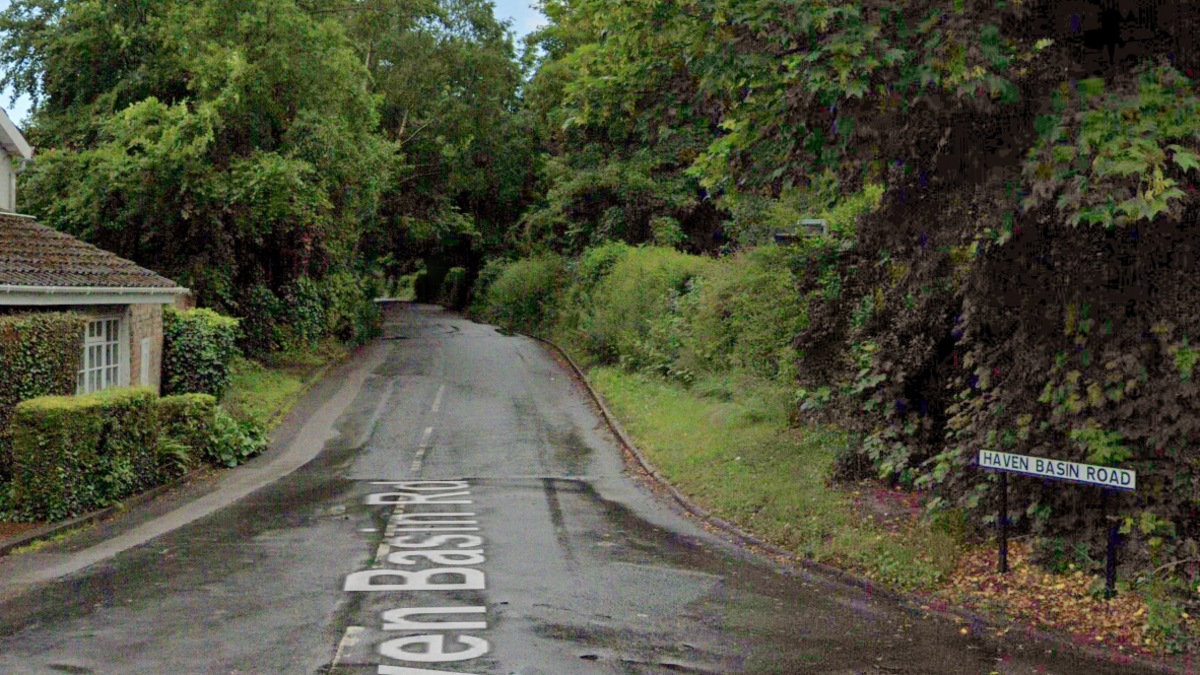 Haven Basin Road. Part of a house is on the left and there is a road surrounded by green bushes and trees.