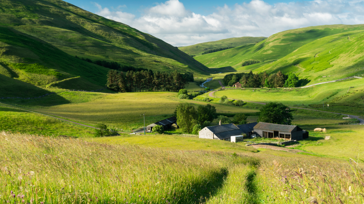 An image of a green valley with a farm in the foreground 