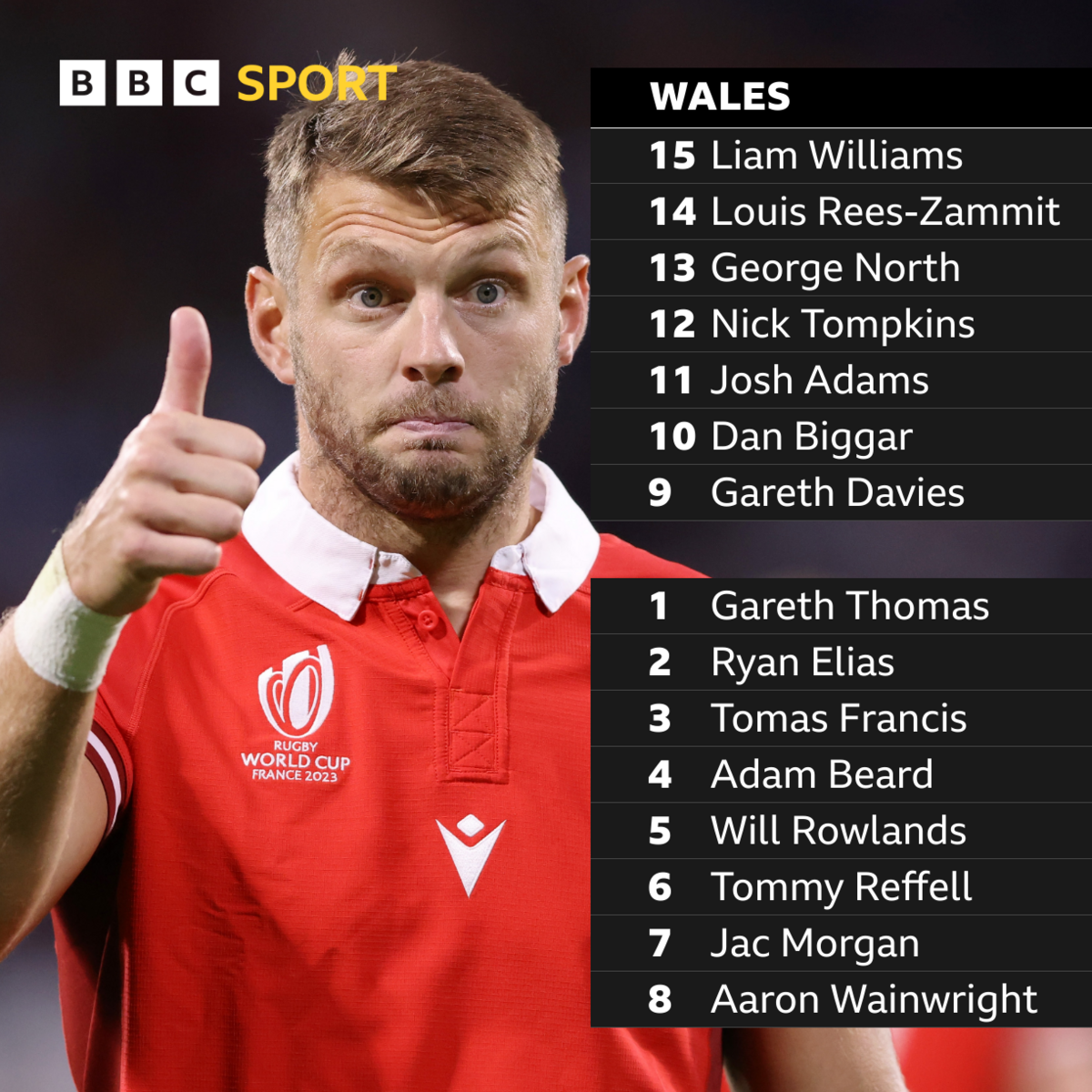 BBC Sport online voters Wales team to play Argentina