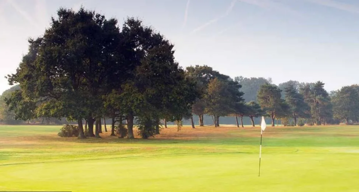 Maidenhead Golf Club  with white flag and trees lining the golf course