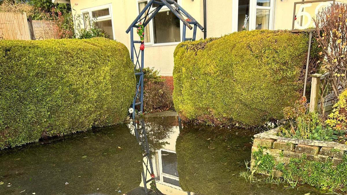 A flooded front entrance to a house. There are two hedges and a blue archway leading to a property. There is a large pool of water in front of the hedges.  