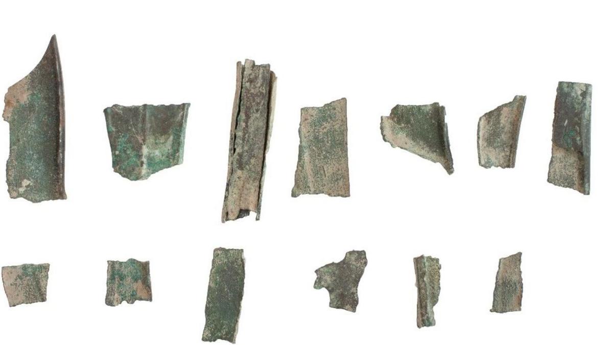 Metal fragments, mostly a shade of green are lined up on a white background