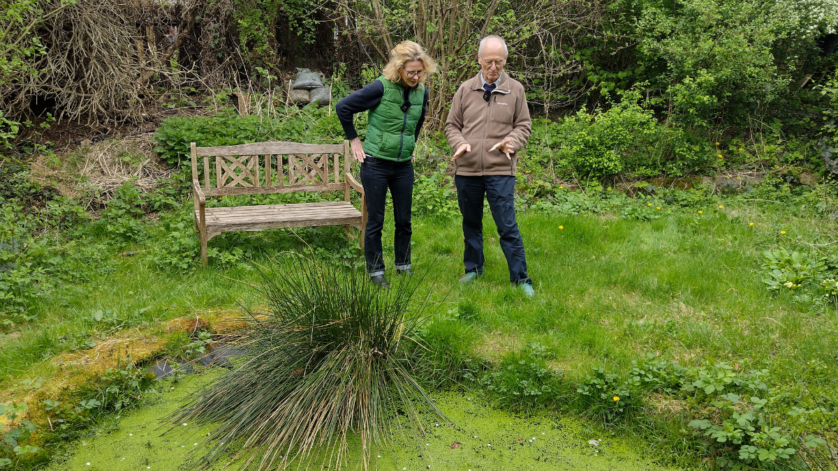 Lynn Whitfield and Ross Baker standing on grass next to a pond