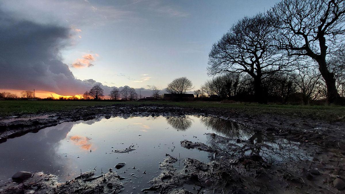 A nearly totally blue sky is encircled on the left by grey clouds with a beam of yellow light underneath from a sunset. On the right of the picture are bare trees with a muddy field in the centre, reflecting the sky in a pool of water.