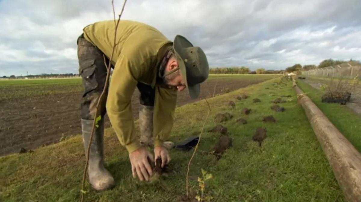 A man, with a beard and wearing a heat, wellies and green clothes, planting trees as part of the Humber Forest