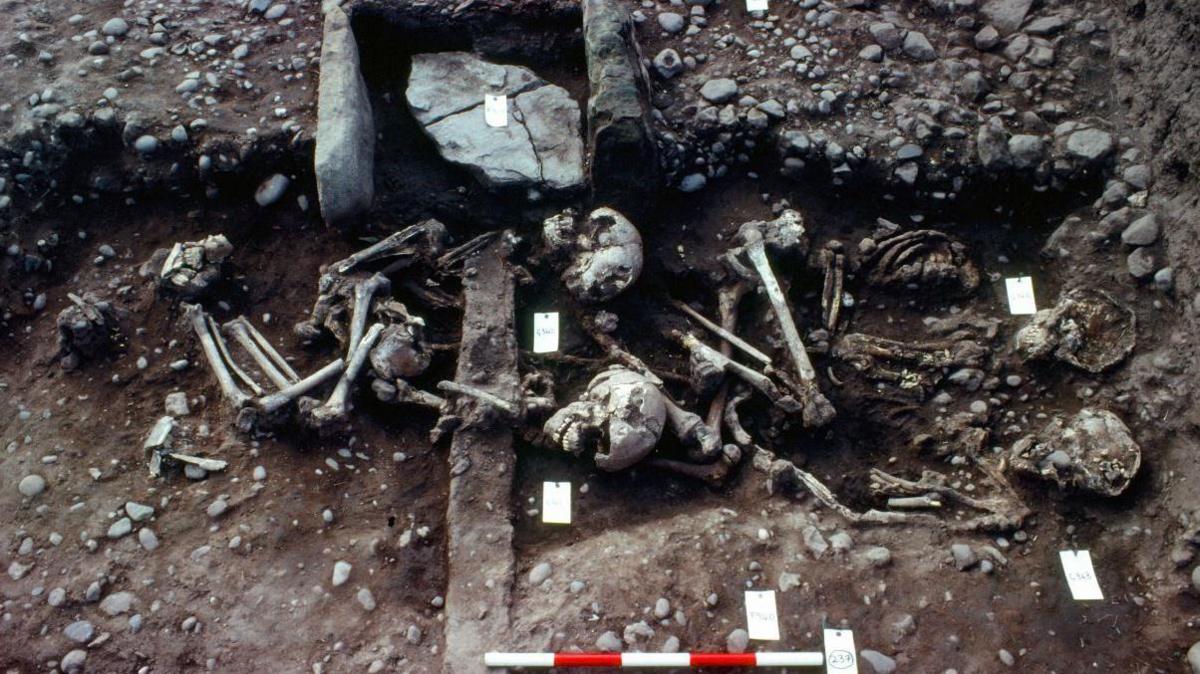 Four adolescent skeletons in a shallow ditch