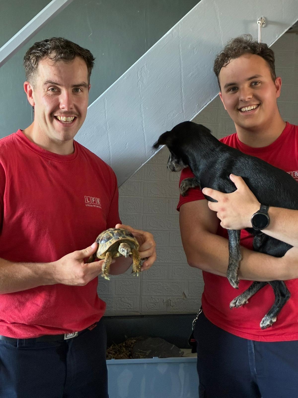 Two smiling firefighters in red shirts, one holding a tortoise, the other a black dog