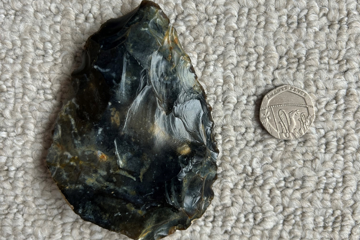 The black and brown flint hand axe which has chisel marks on it next to a 20p piece for scale